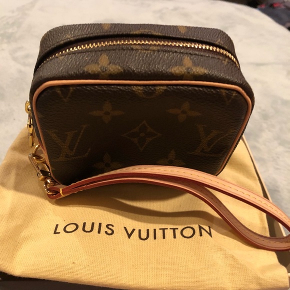 Louis Vuitton Handbags - ✨Louis Vuitton Monogram Truth Wapity Pouch ✨